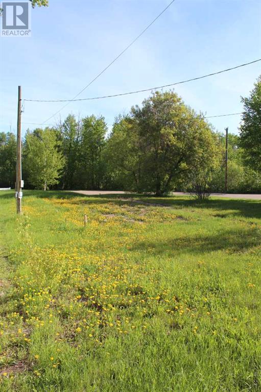 307 3 Street Southeast St SE #307, Manning, AB T0H 2M0