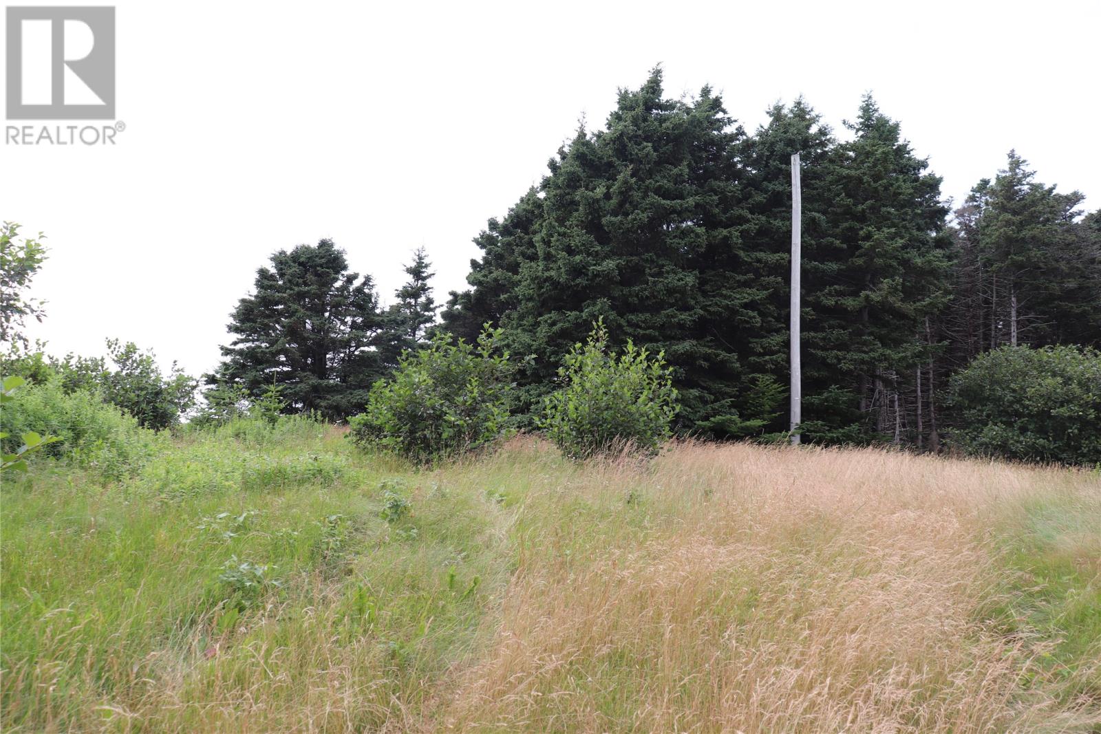 25 Main Rd, Heatherton, NL        