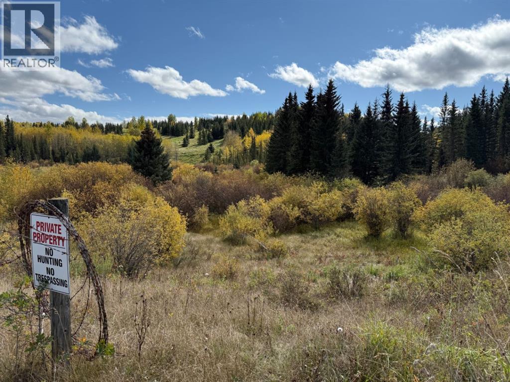 Lot 4 Jamieson Road, Rural Bighorn No. 8 M.d. Of, AB T4C 1B7