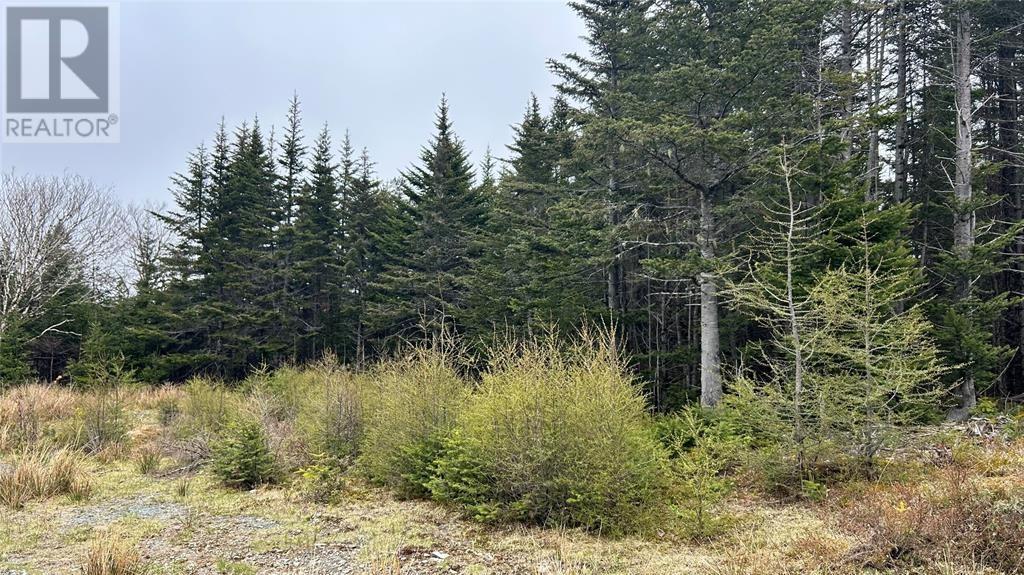 00 Strayaway Rd, Blaketown, NL A0B 1C0
