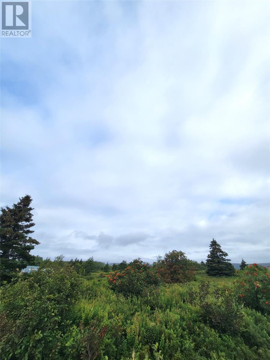 70 Central St #a, Bay Roberts, NL A0A 1G0