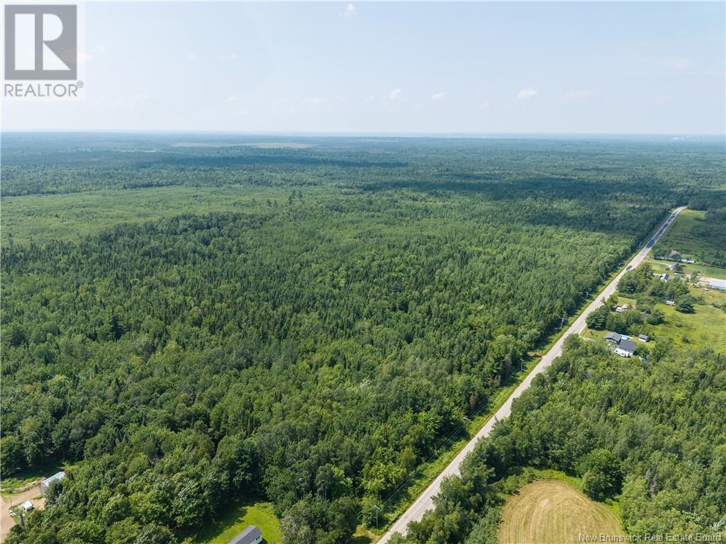 14-hectares Woodlot Unit Napan, Napan, NB E1N 5H4