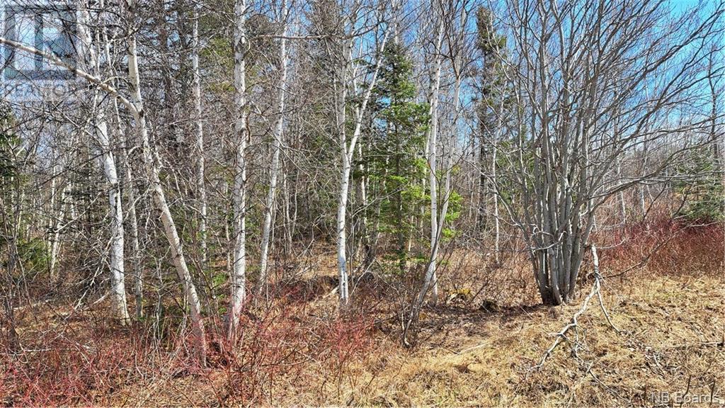 28 Acres Chemin Four Roads Unit 1, Four Roads, NB E8P 1E8