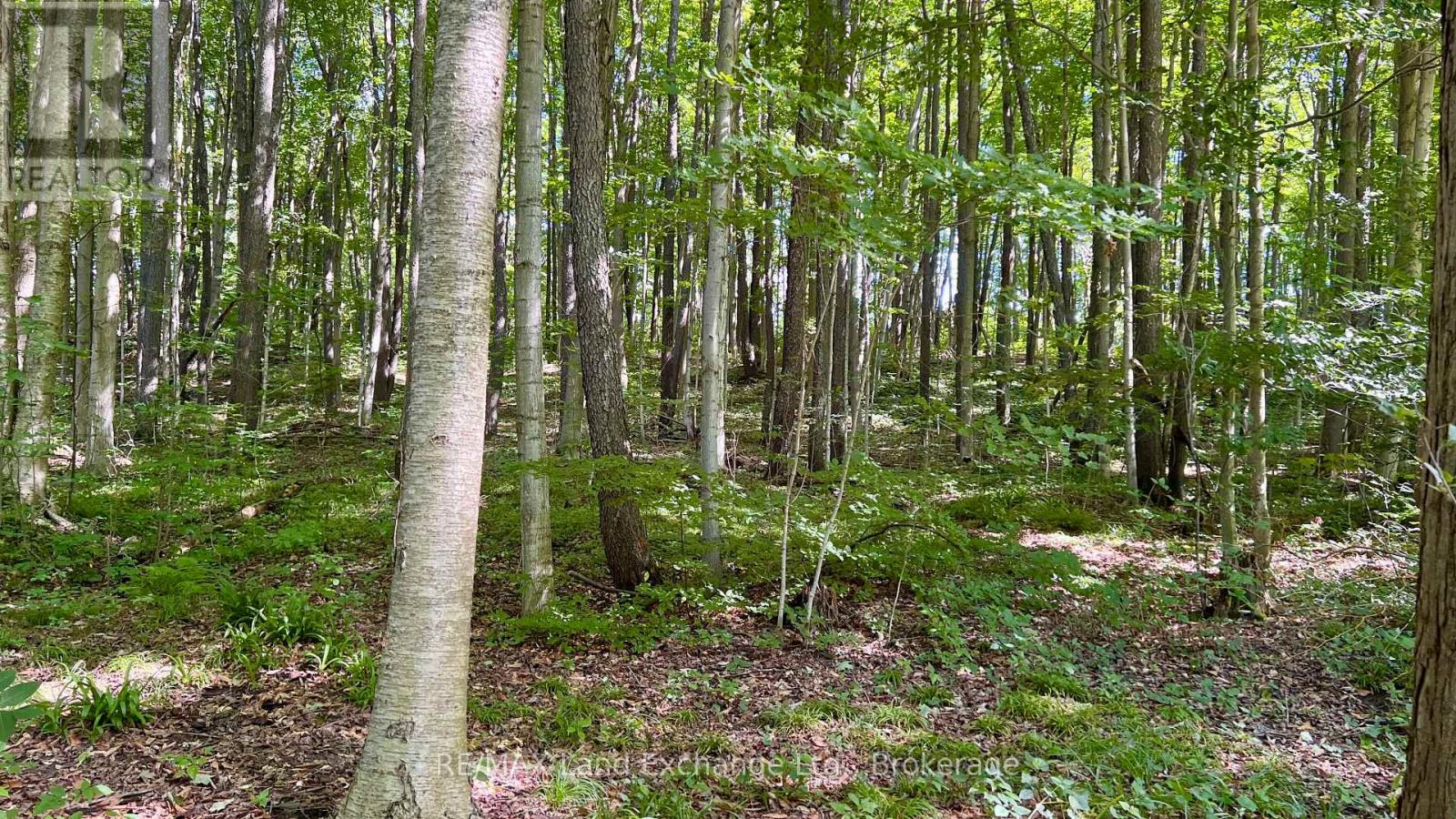36720 River Rd, Ashfield-Colborne-Wawanosh, ON N0G 2H0