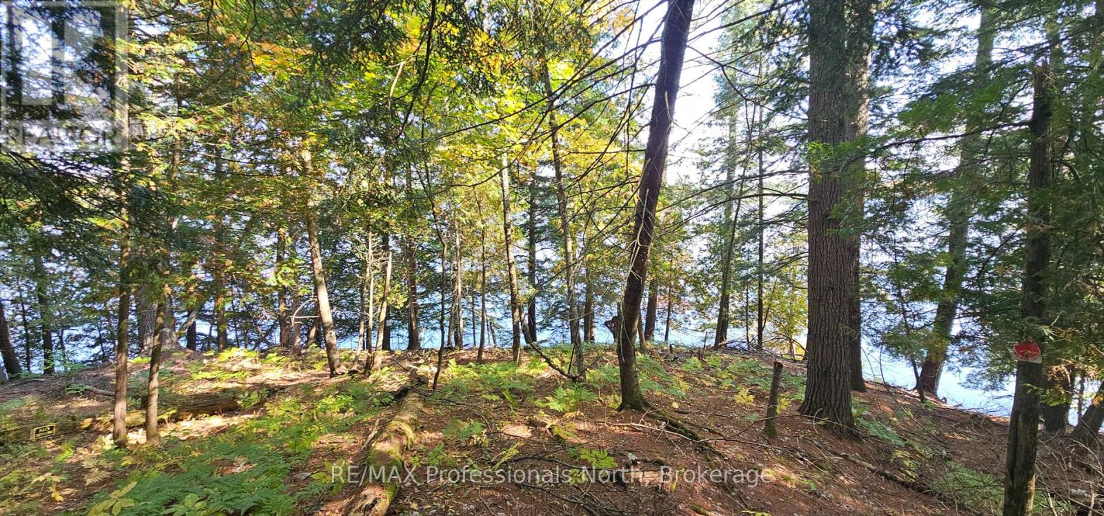 416 Swallowdale Rd, Huntsville, ON P1H 0A5
