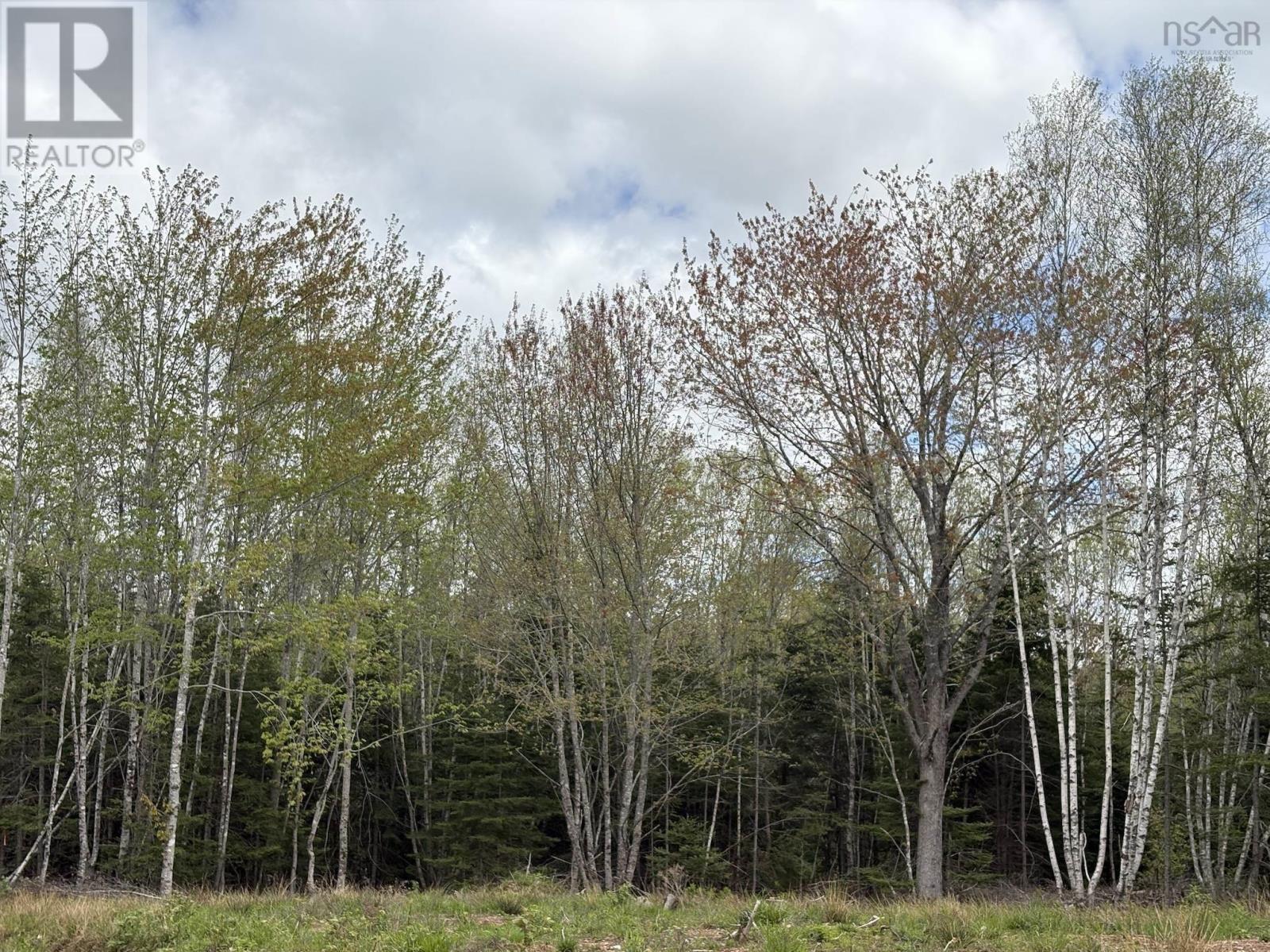 Lot 3 Highway 14, Upper Nine Mile River, NS B2S 2Z3
