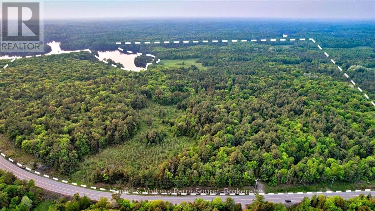 53 Birdwood Ln, McDougall, ON P2A 2W7