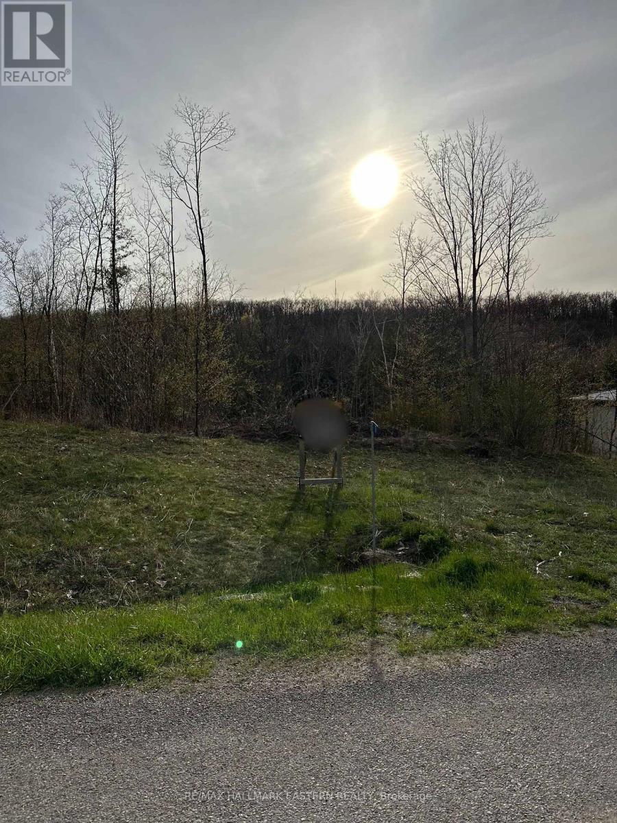 62 Trent View Dr, Trent Hills, ON K0L 1Y0