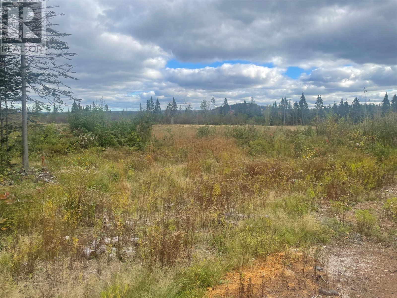 136333 Peters Pond, Botwood, NL A0H 1E0