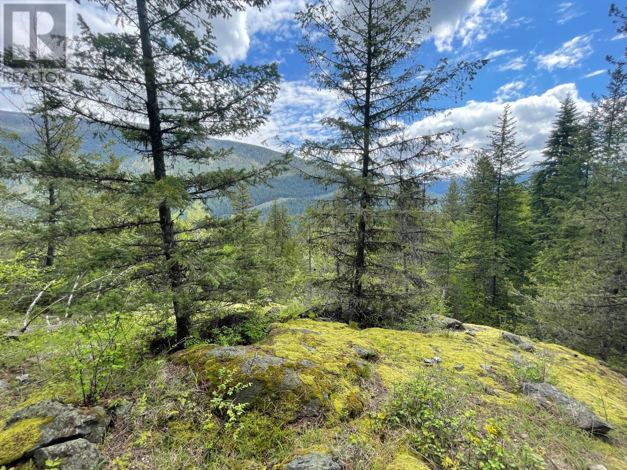 Langill Road, Krestova, BC V0G 1H0