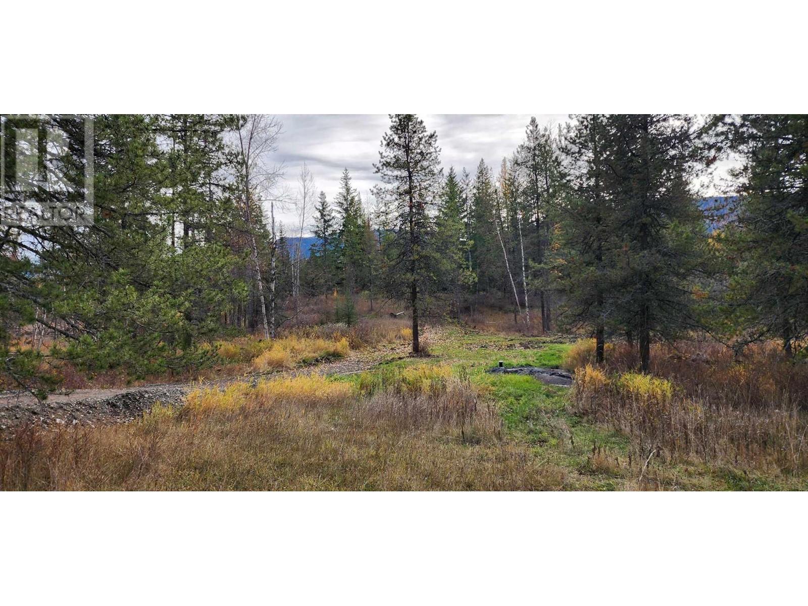 38 Campbell Rd, Cherryville, BC V0E 2G3