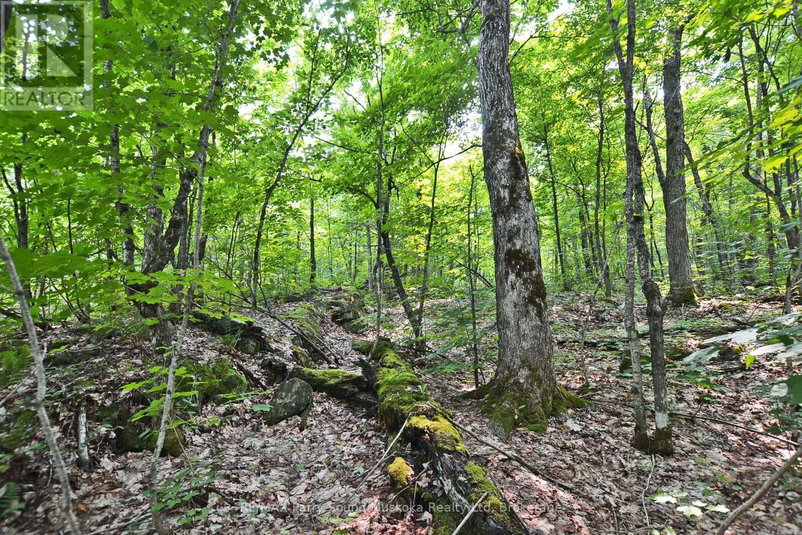 0 Lyndsey Ln #2 Ln, McKellar, ON P2A 0B5