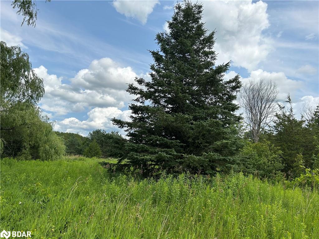 1155 Wood Rd, Tiny, ON L0K 2E1