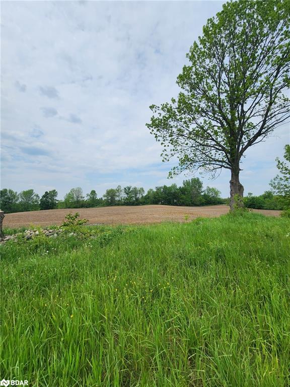 316486 Highway 6, Chatsworth, ON N0H 1G0