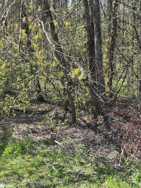 153 Courtland St, Ramara, ON L3V 6H7