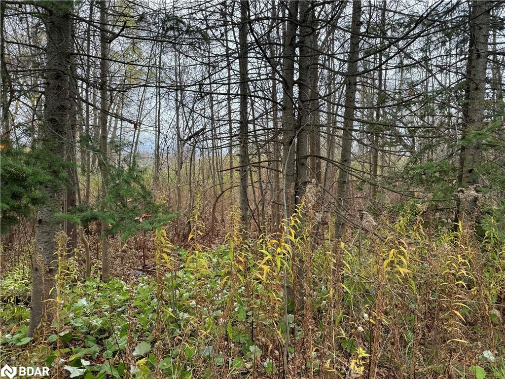 0 Taylorwoods Blvd, Innisfil, ON L9S 2E9