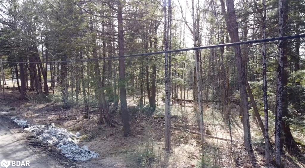 1042 Art Crisp Rd, Gravenhurst, ON P0E 1N0