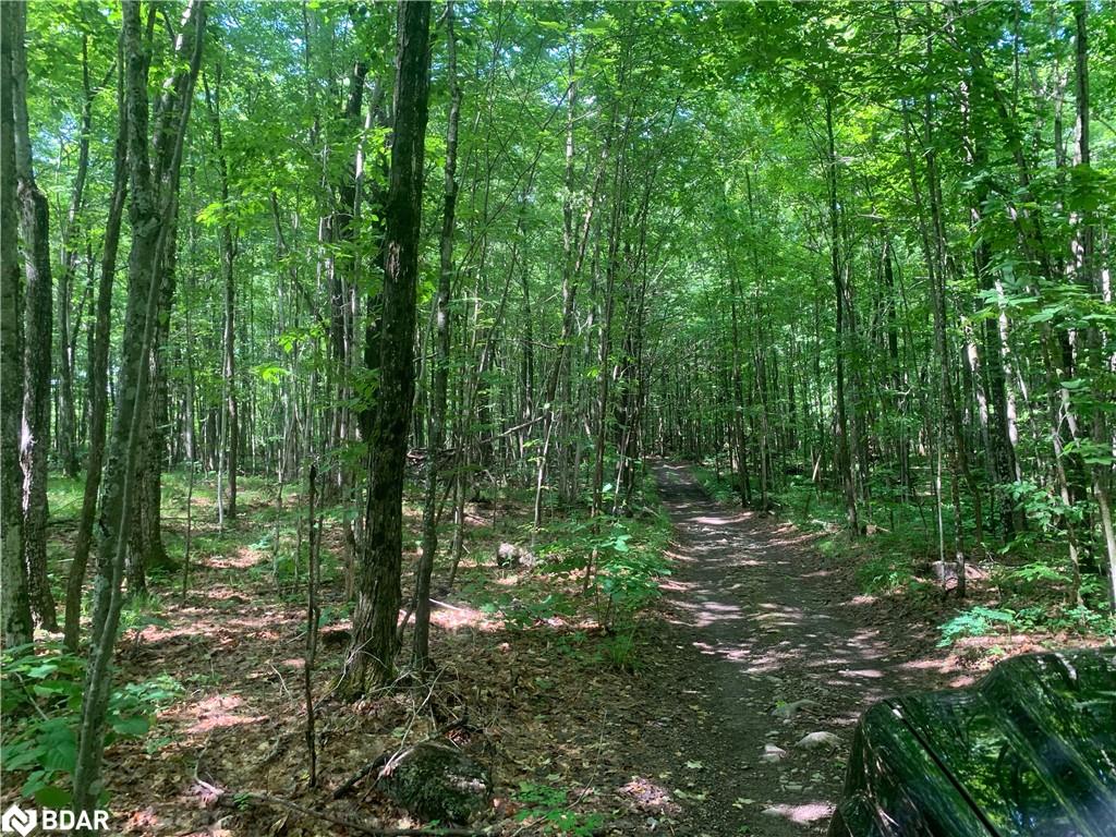 00 Clareview Rd, Erinsville, ON K0K 2A0
