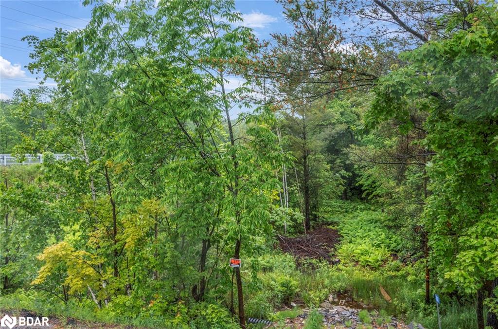 1001 Woodroffe Rd, Muskoka Lakes, ON P0C 1H0