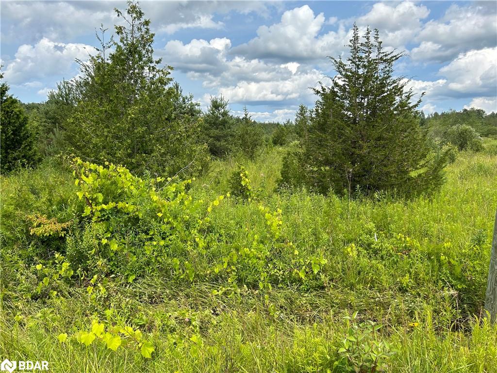 1125 Wood Rd, Tiny, ON L0K 2E1