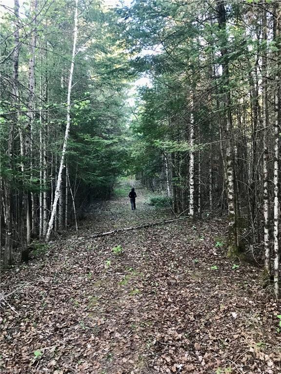 4 Maritime Rd, Kawartha Lakes, ON K0M 2B0