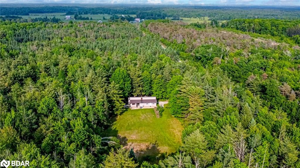 7390 Sadowa Rd, Kawartha Lakes, ON L0K 1W0